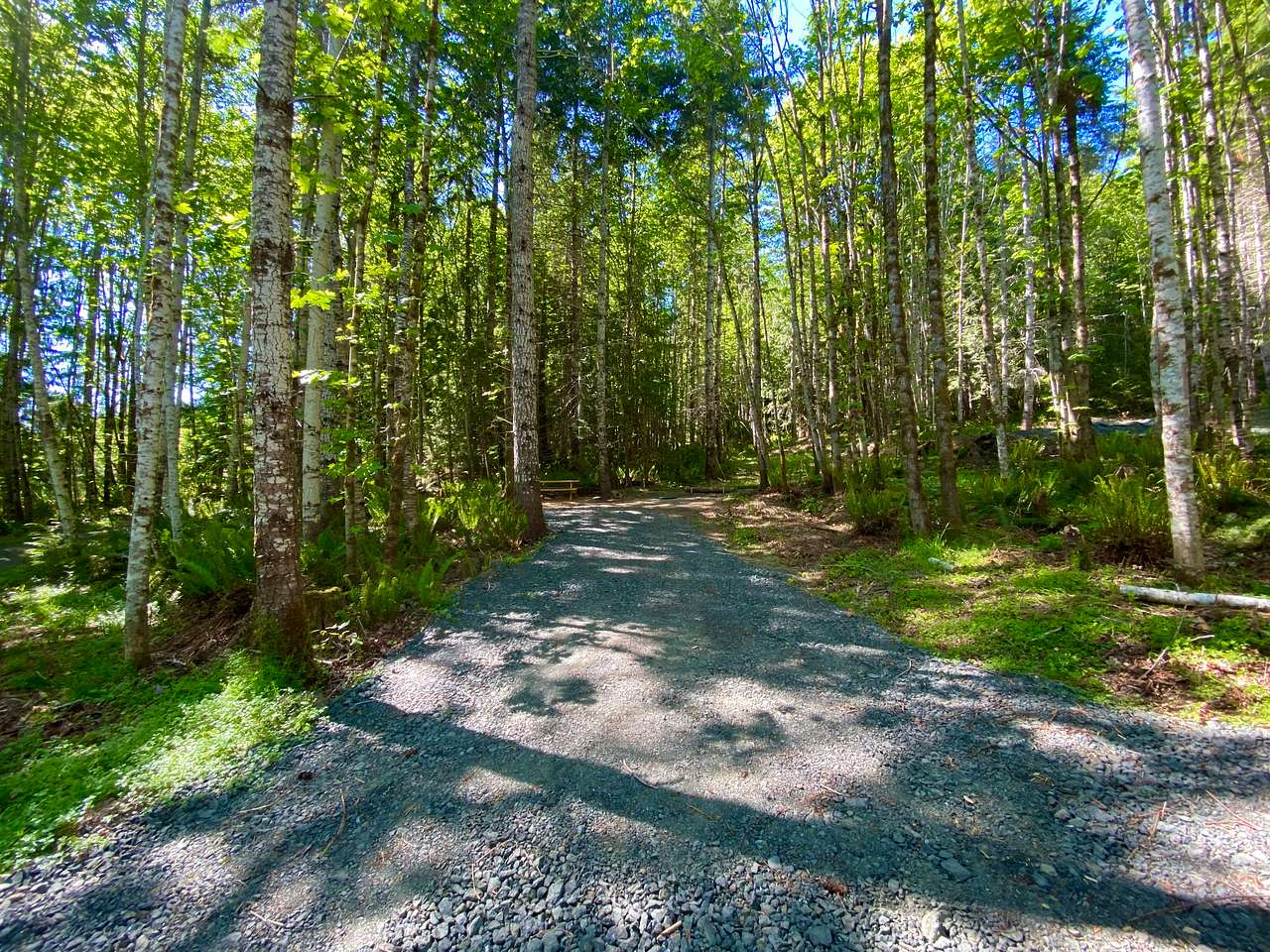 Wandering Joy Campground