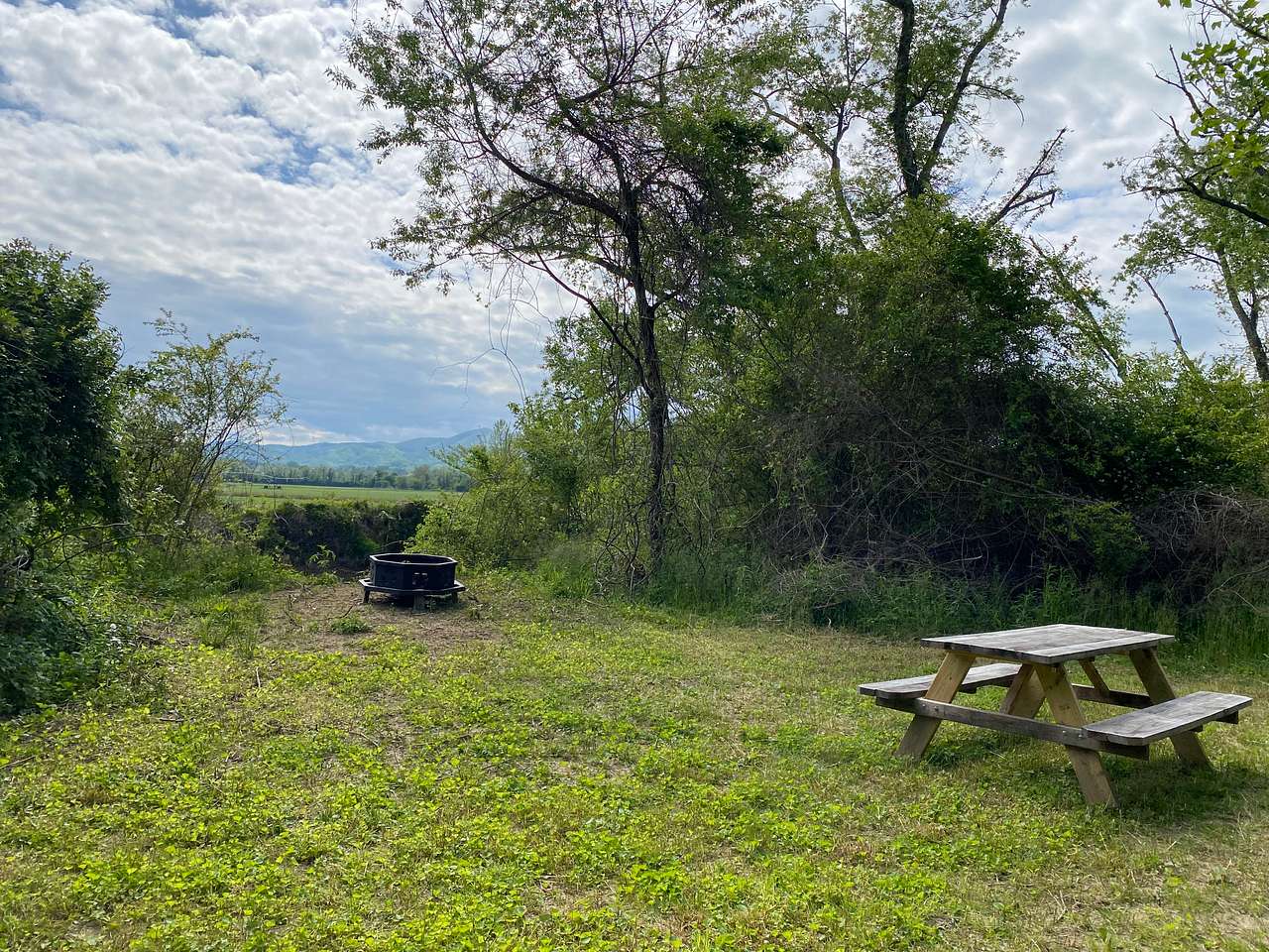 Picture of the site