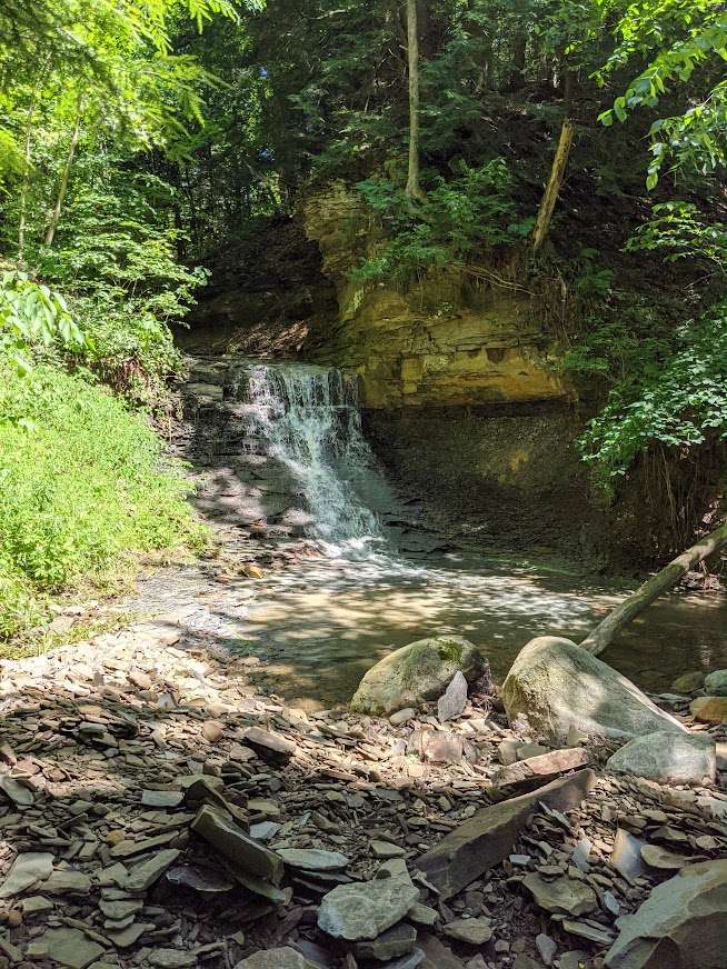 Picture of the site