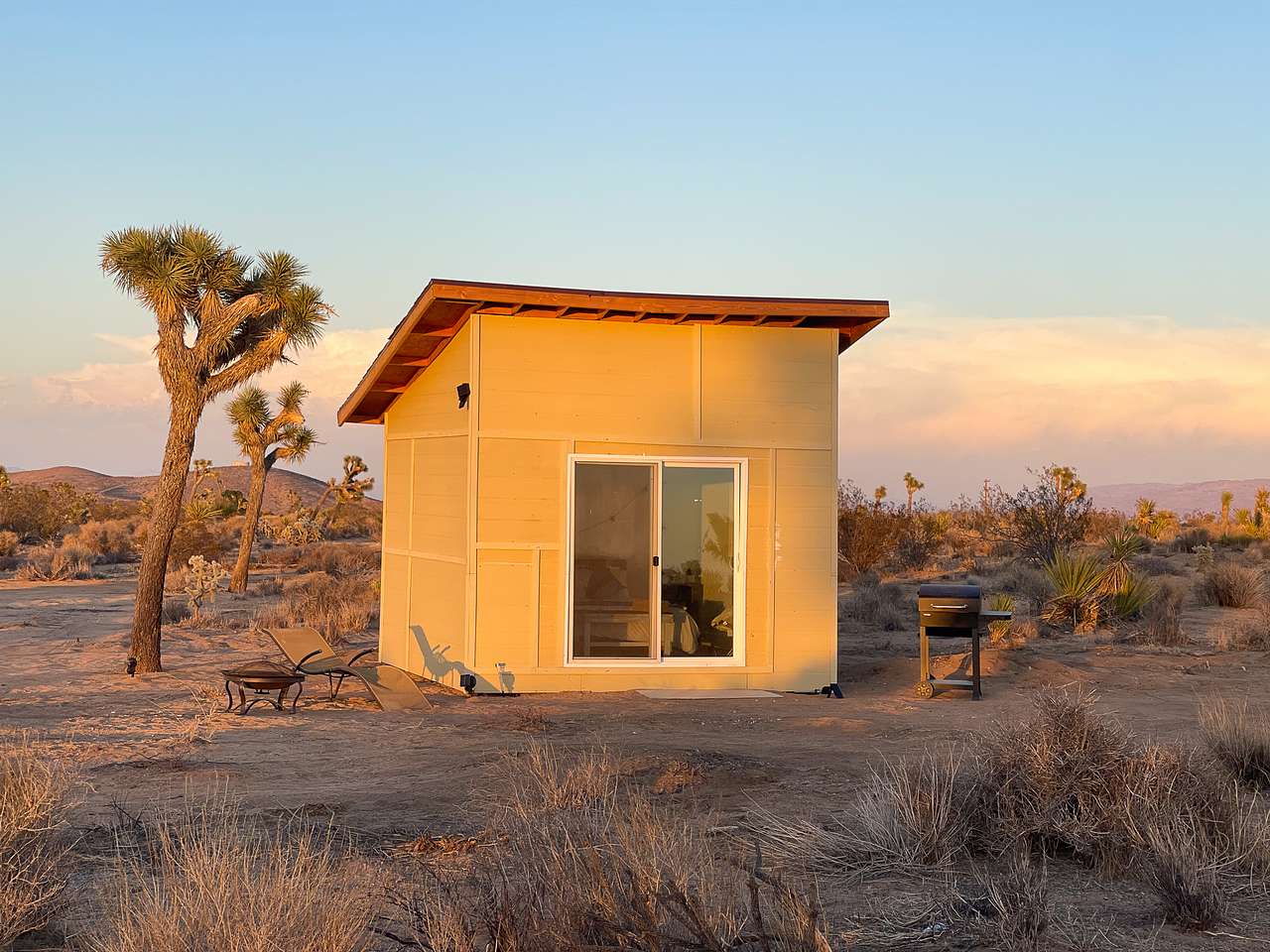 View more photos of Songbird at Joshua Tree