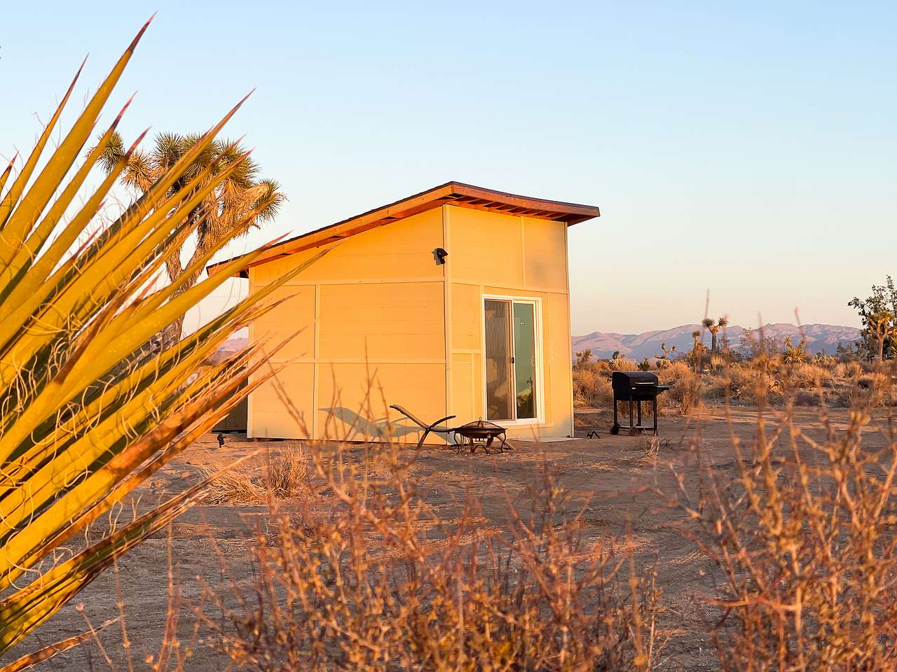 Photo 1 of 6 of Songbird at Joshua Tree