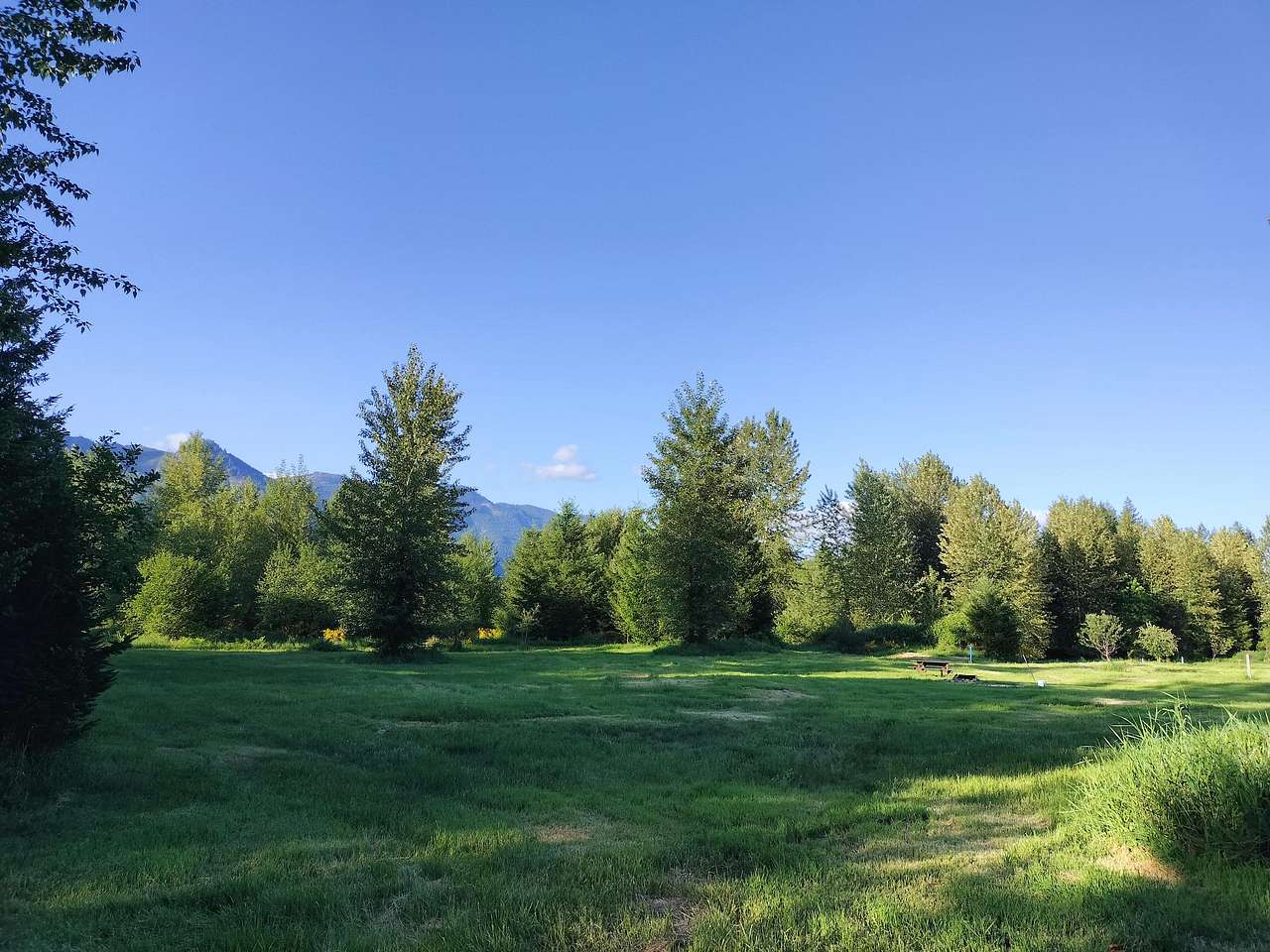 Wide shot of this sites area