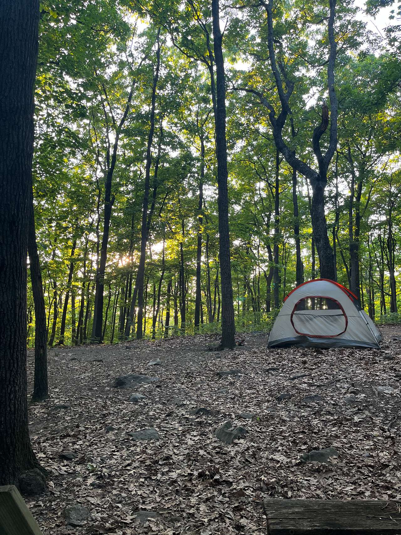 Site 5