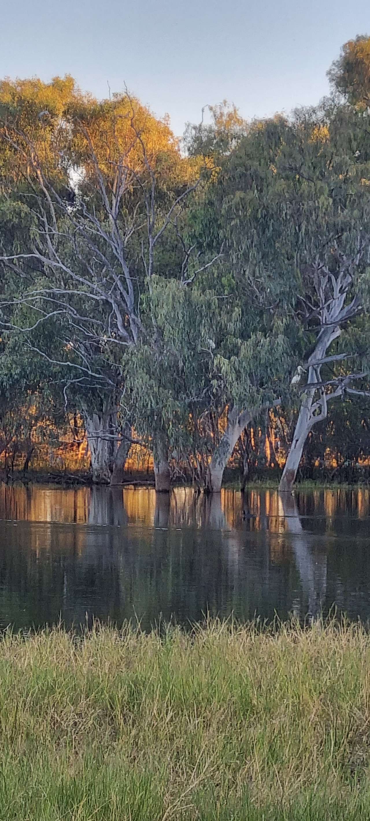 The magic of the sun set through the trees.