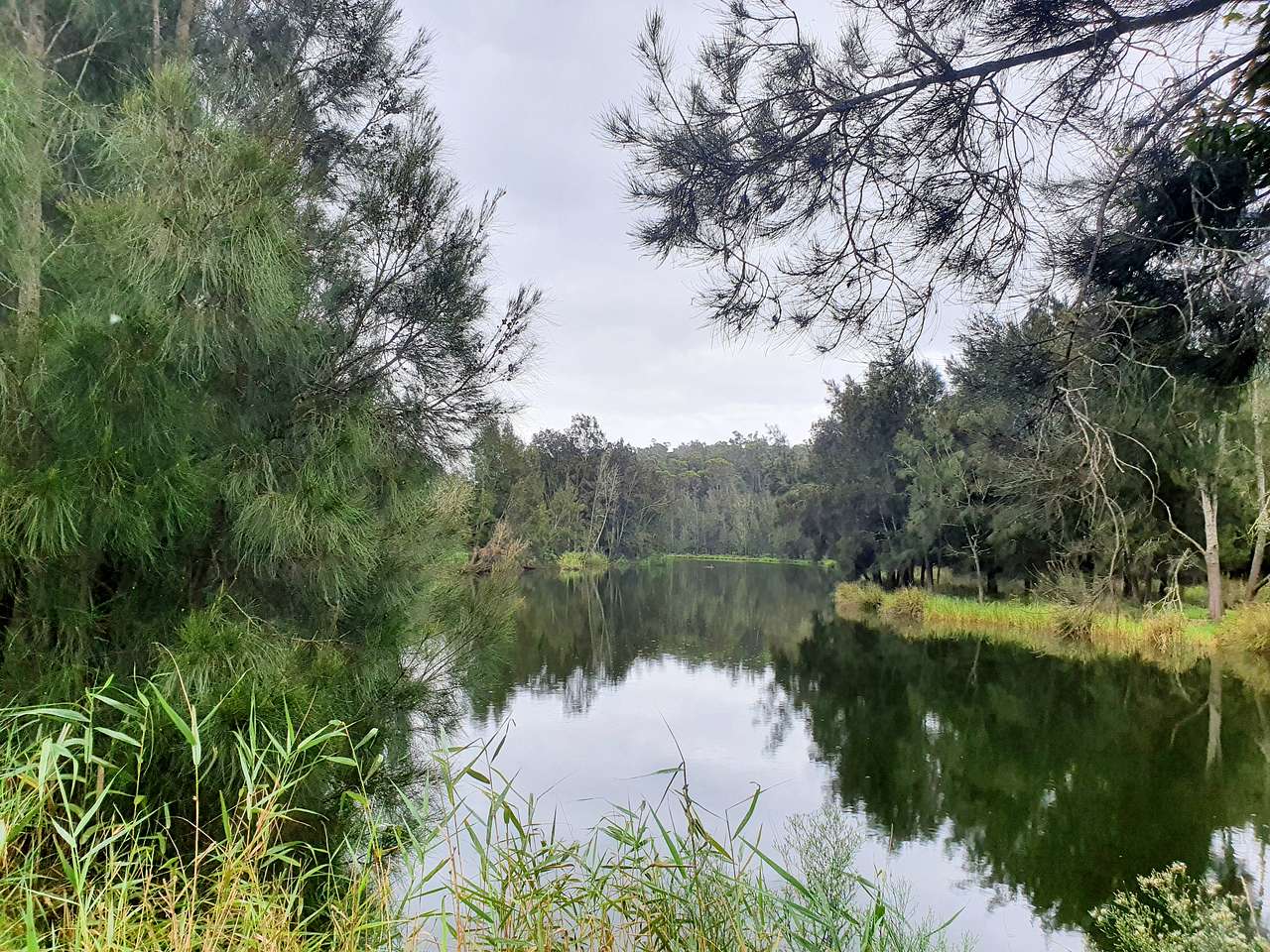 Riverview Farm, Bodalla
