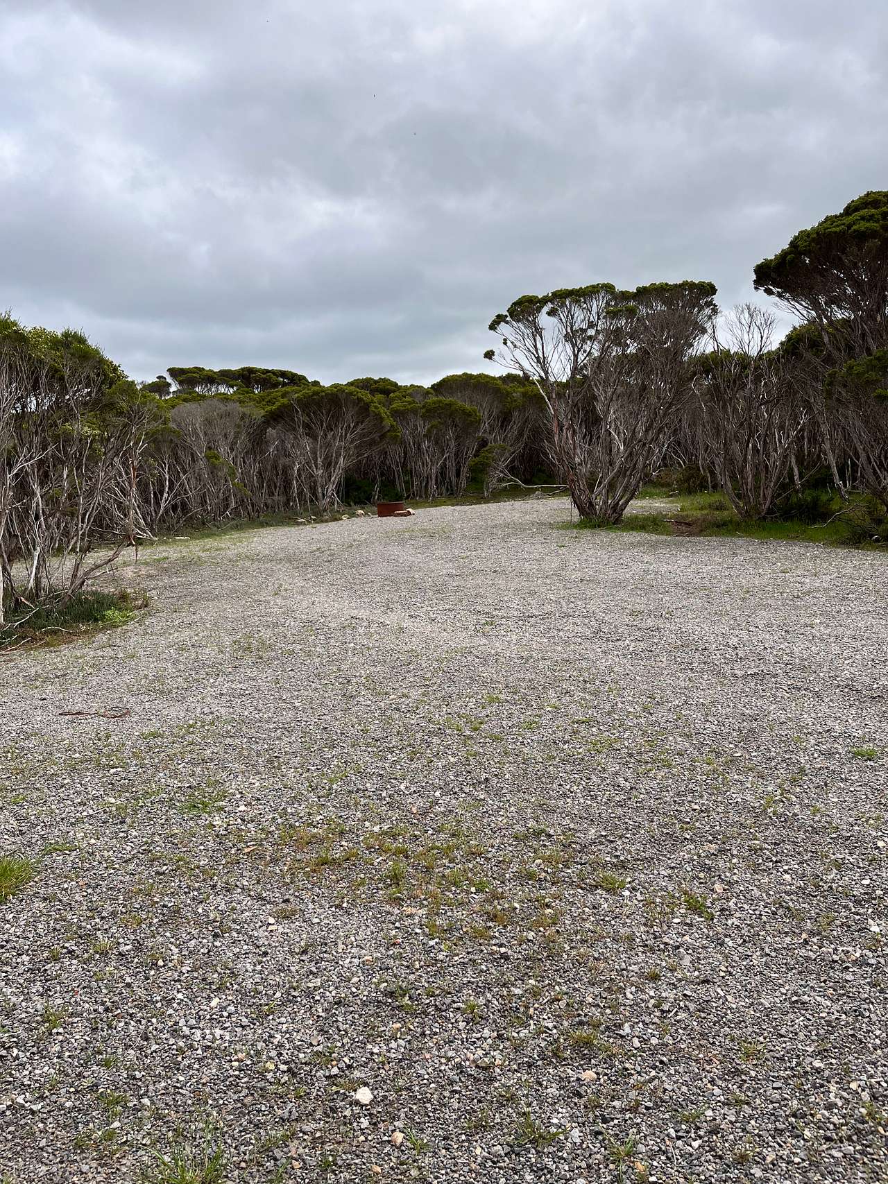 Marion Bay Bush Camping