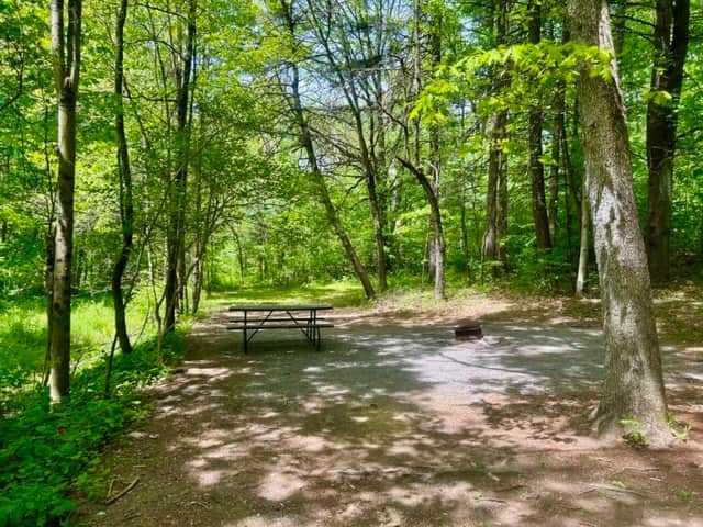 A large shaded site, hidden in the woods. With a fire ring, picnic table and gravel road. Park right next to the site, no walk-in.