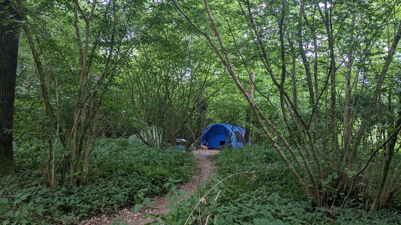 Our pitch