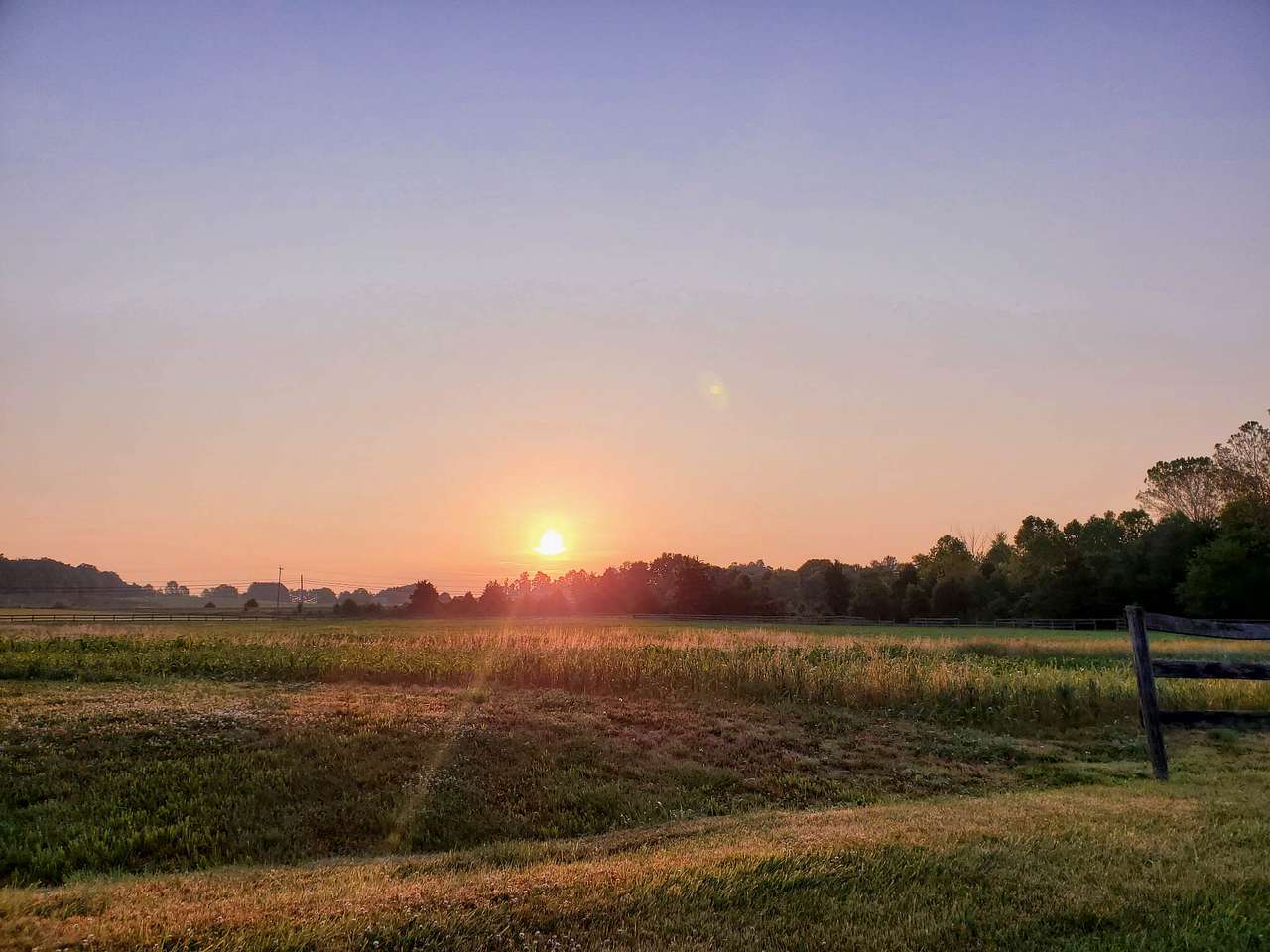About Tyme Farm