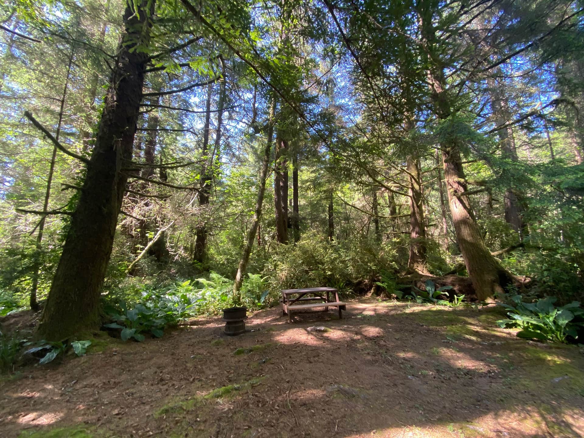 Mystic Forest Campground