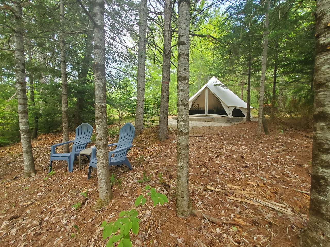 Graham Cracker Cabin and Campsites