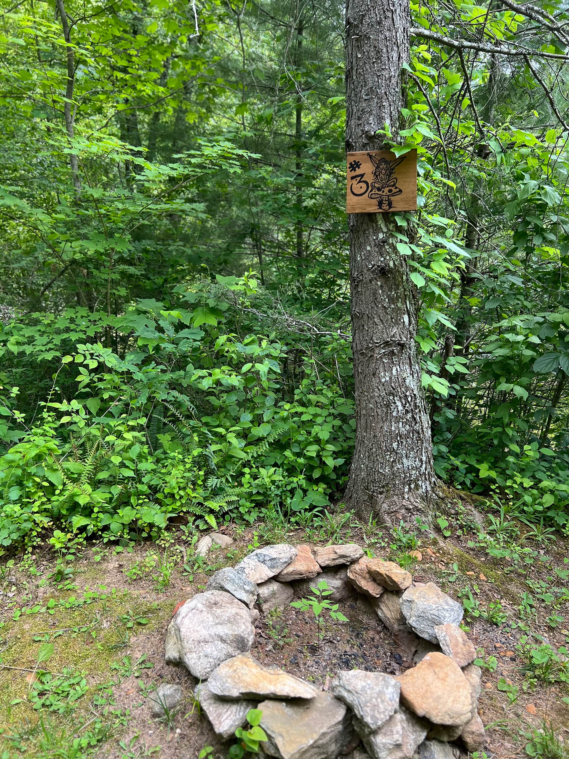 Appalachian Pond Campground