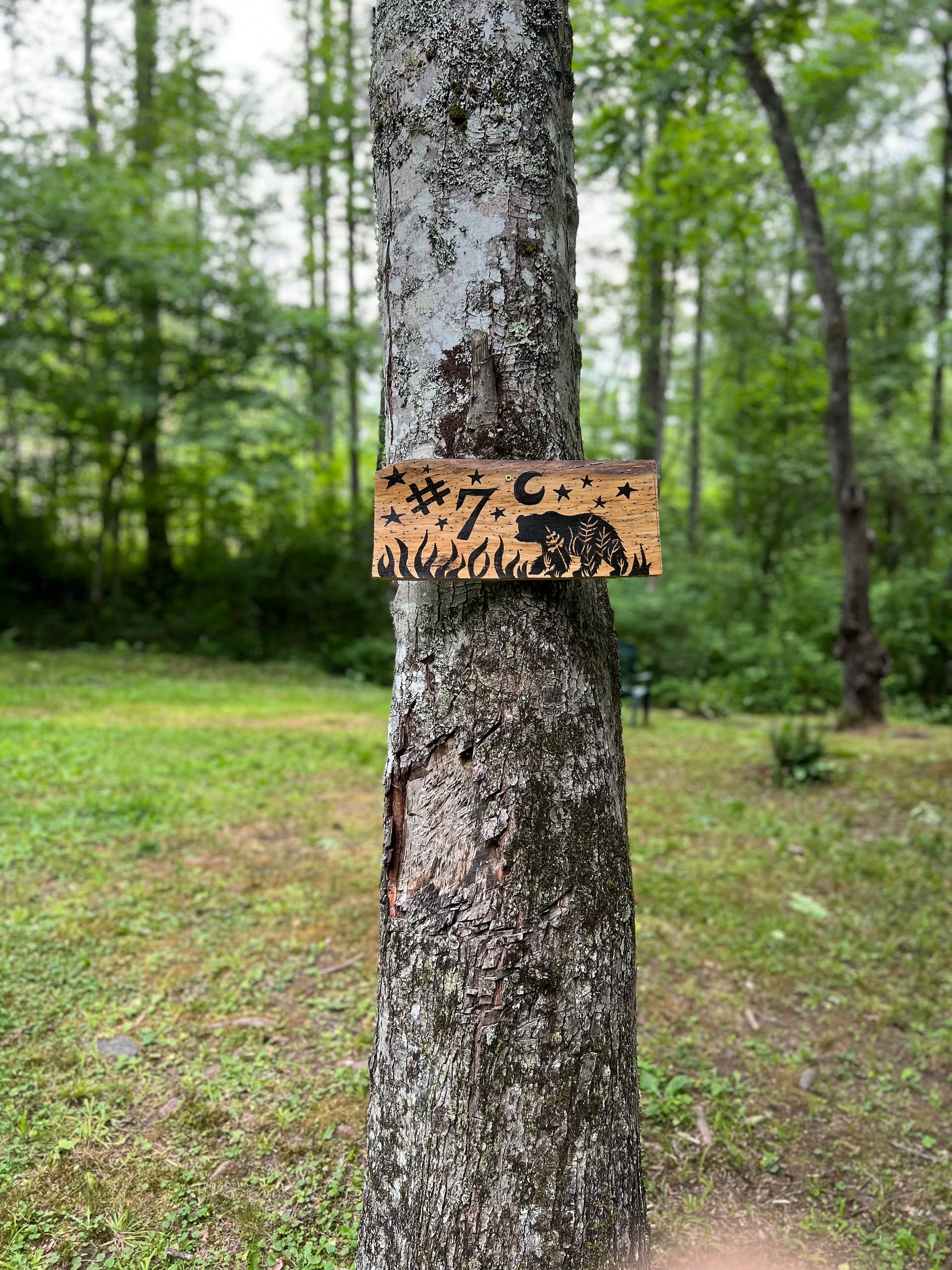 Appalachian Pond Campground