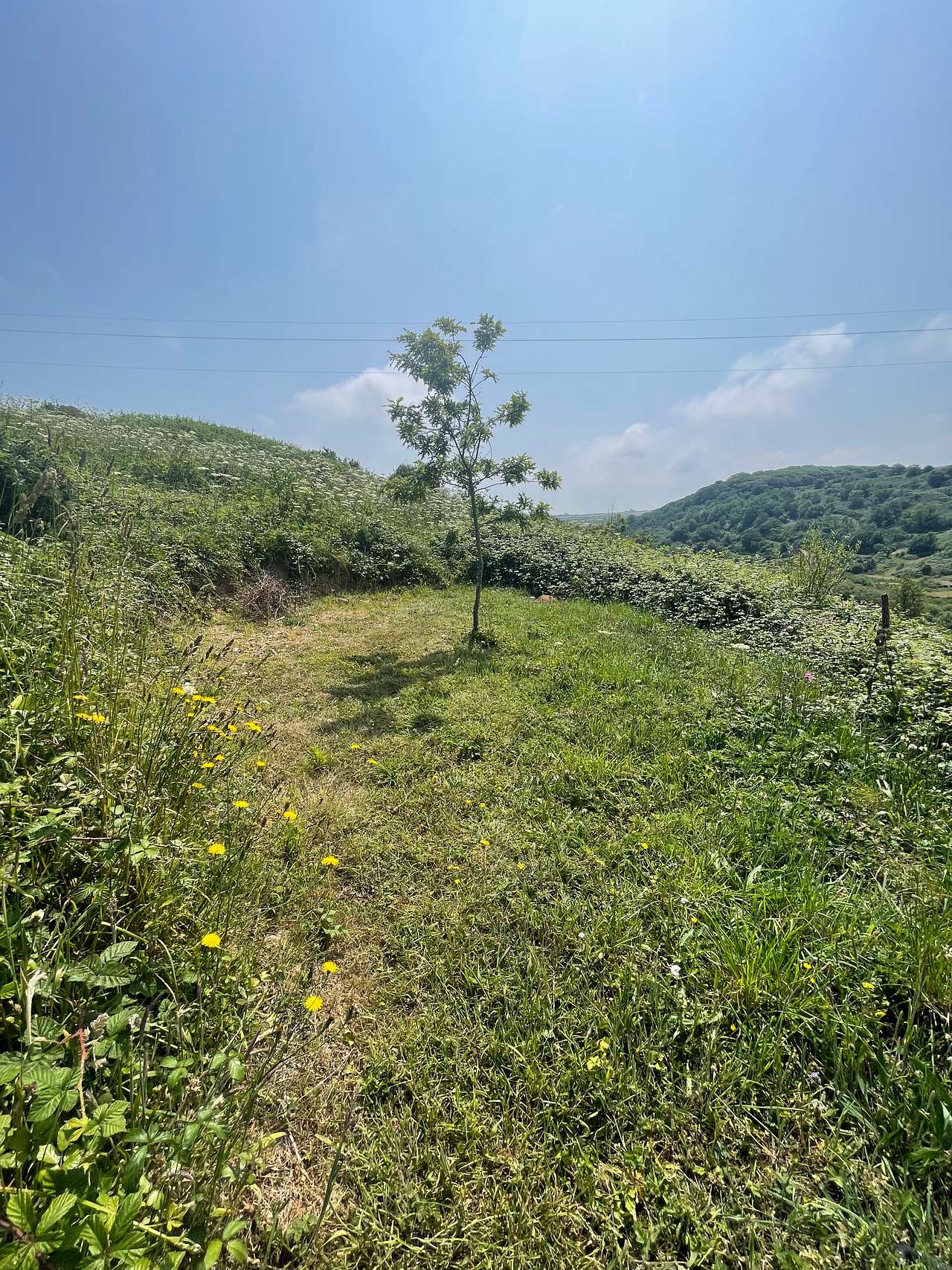 Ro Dama Community Farm
