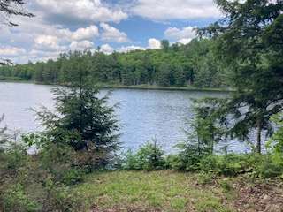 Ball Lake Tent Camping