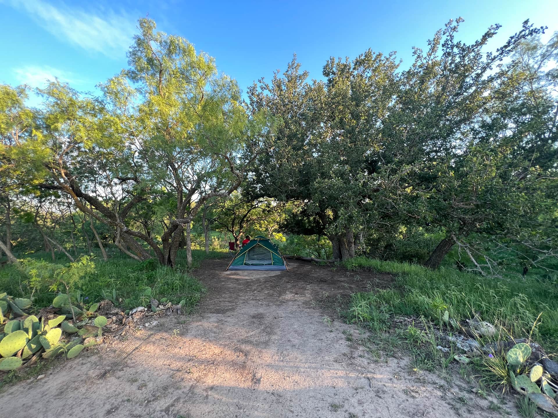 Picture of the site