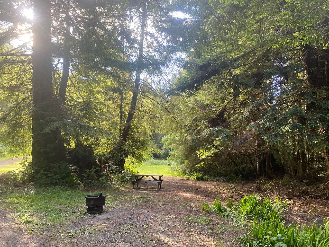 Mystic Forest Campground