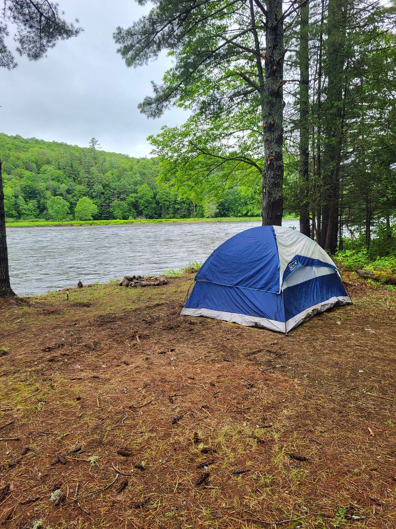 Rivers edge camping ! Don't worry we have high banks