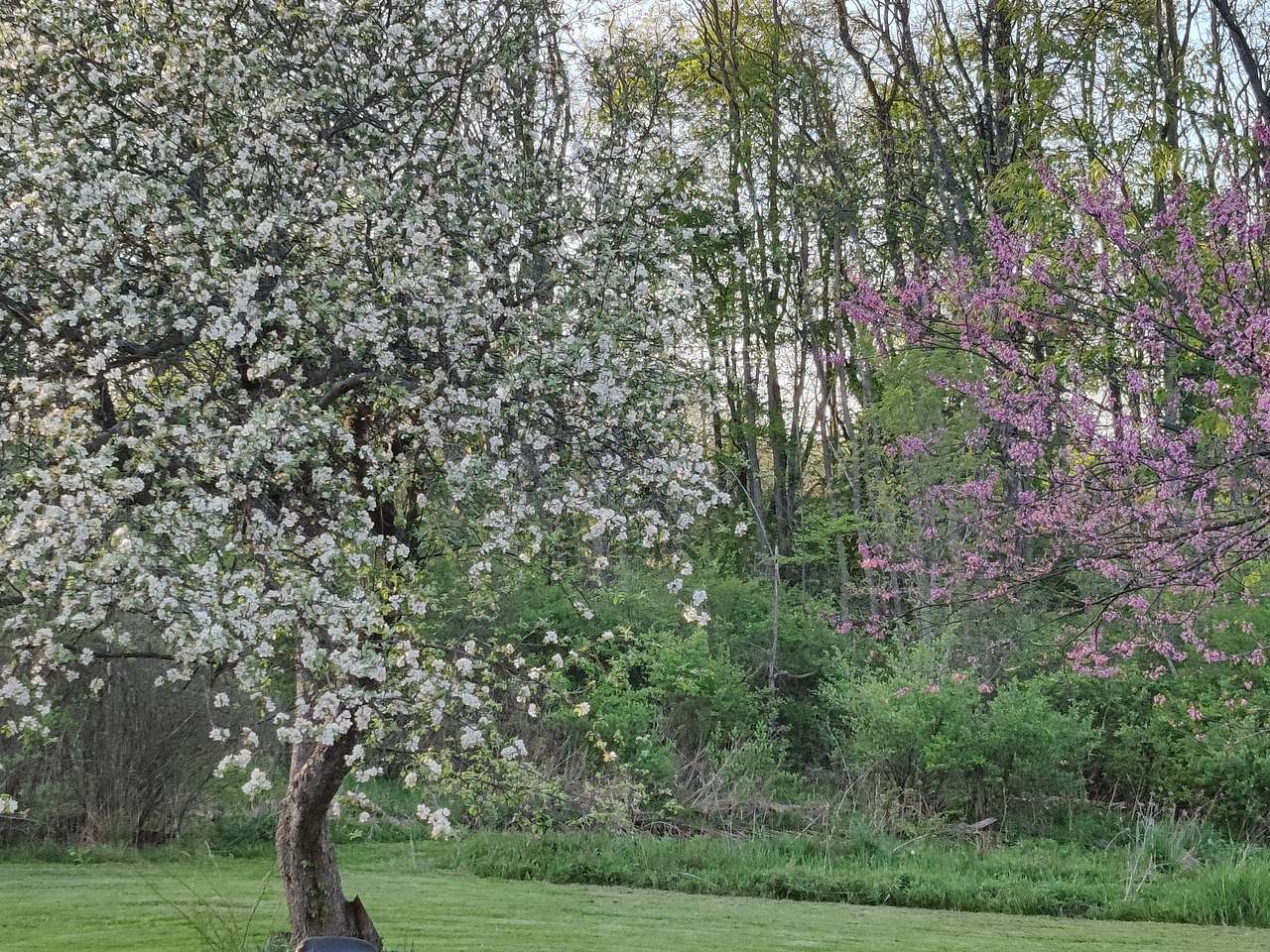 Pitch your tent in the back yard under the apple tree, where you can hear the brook babble in season.