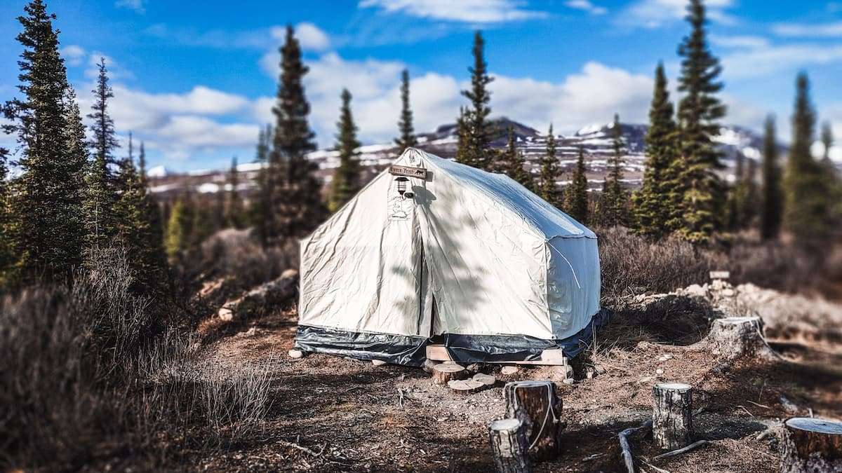 Wildthingz Dog Mushing