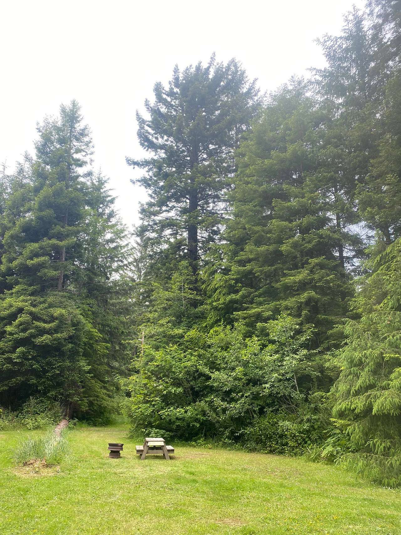 Mystic Forest Campground
