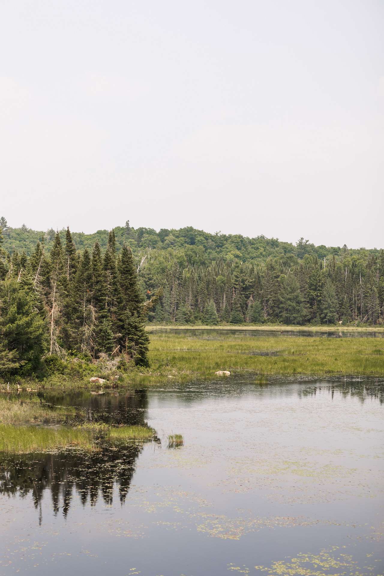 you may spot a moose, a beaver, or some geese!
