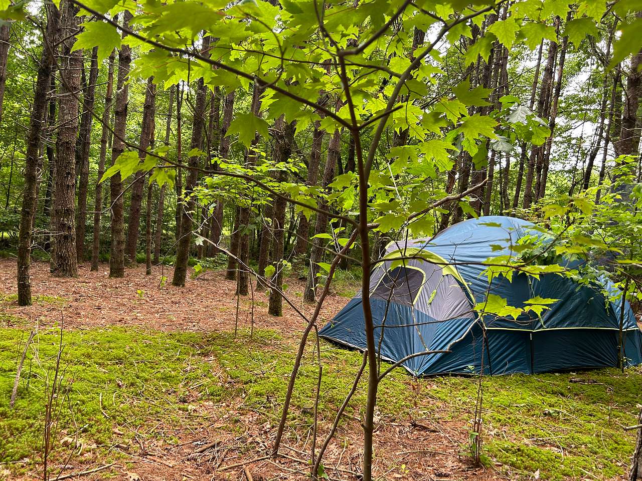 Pitch your tent on one of nature’s cushions. 