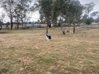 KANGAROO CREEK CAMP DUBBO