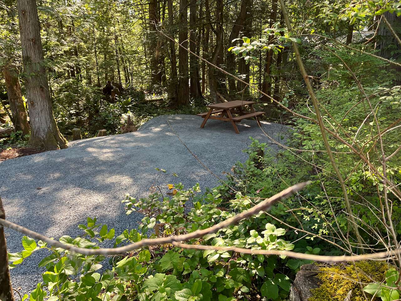 Forest Hideaway