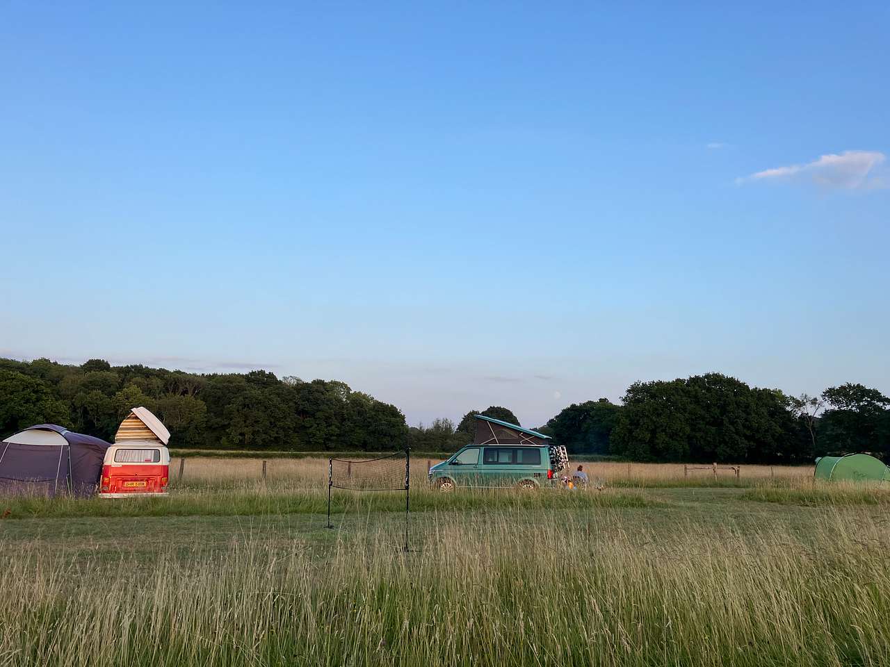 Cattlestone Farm Adult Only