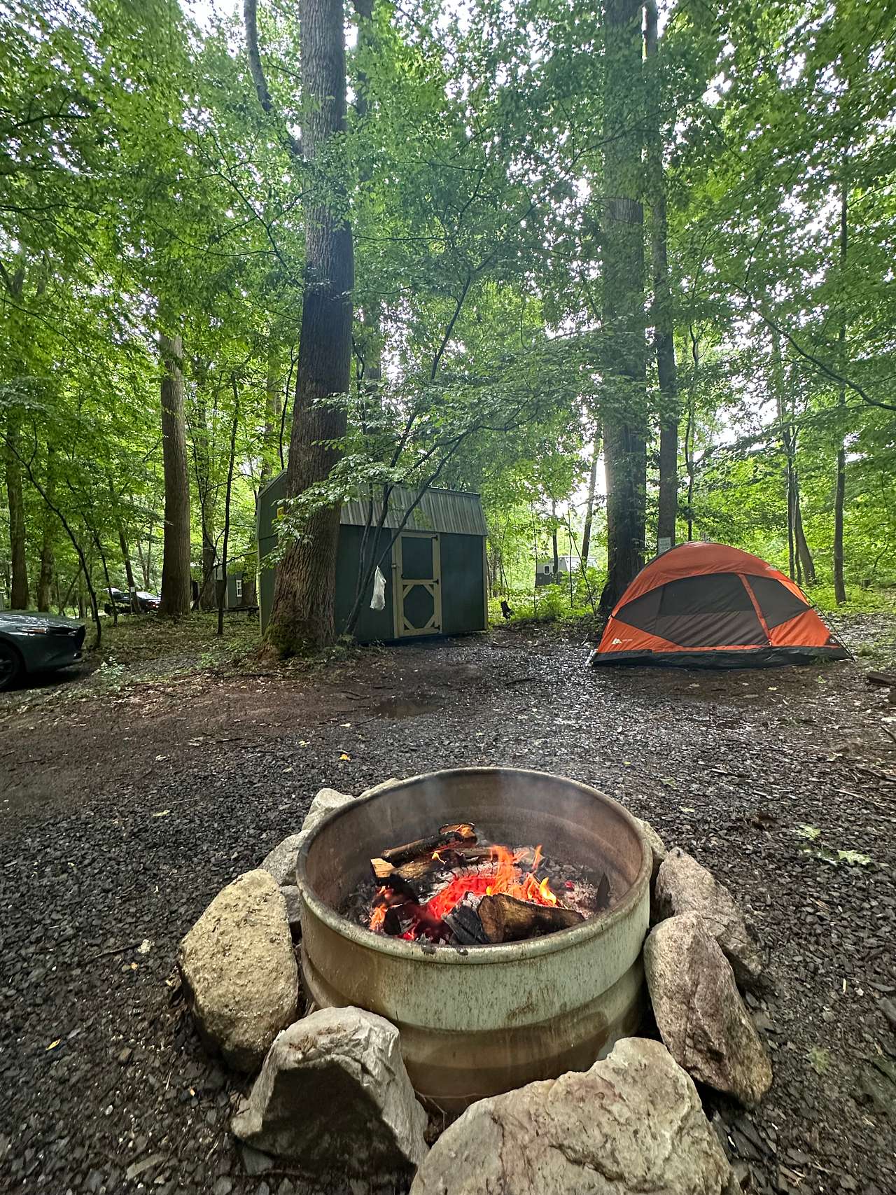 Our campsite including parking, tent and shed. 
