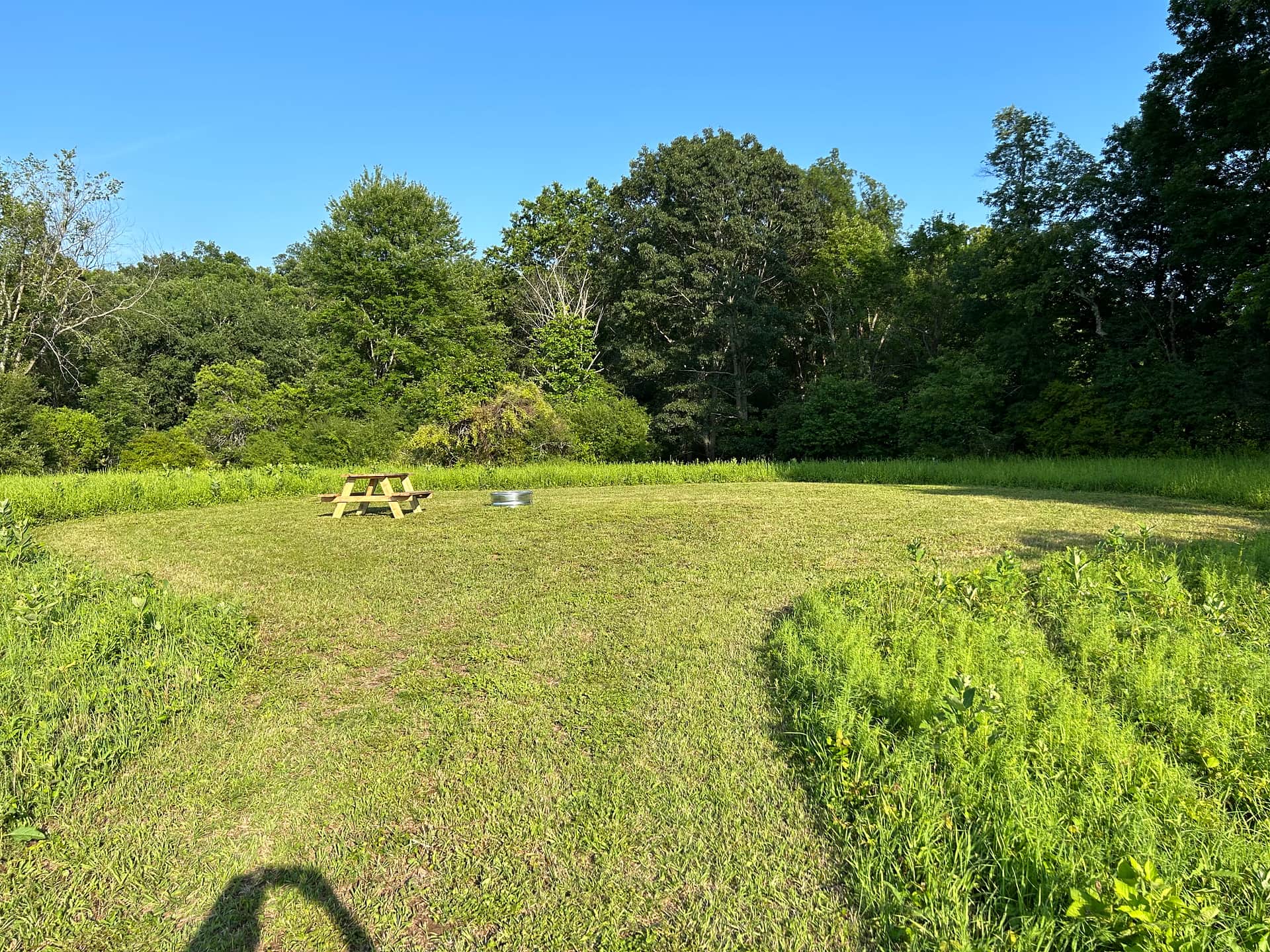 Site 2 with picnic table and fire ring