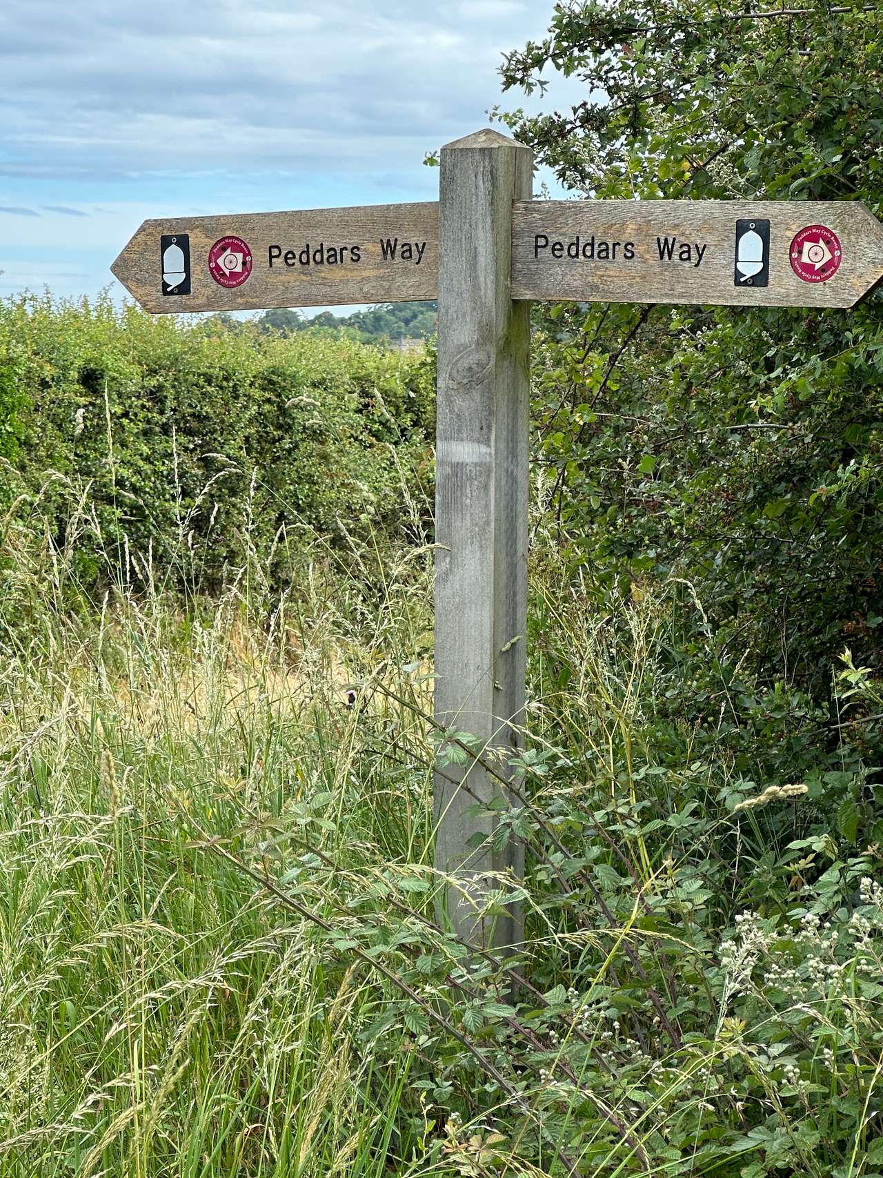Local walking or 'gravel' bike trails.