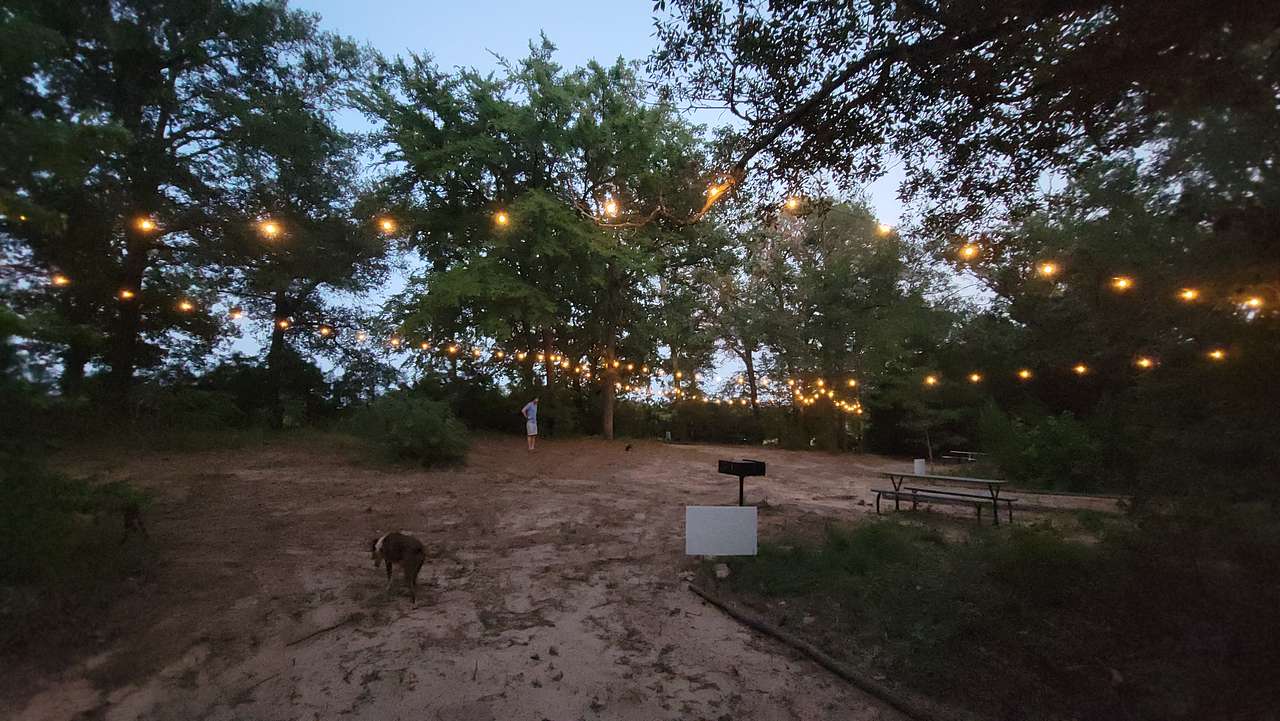 This is standing in Site 3, looking toward Site 4. The outhouse is on the left (not shown in this pic).