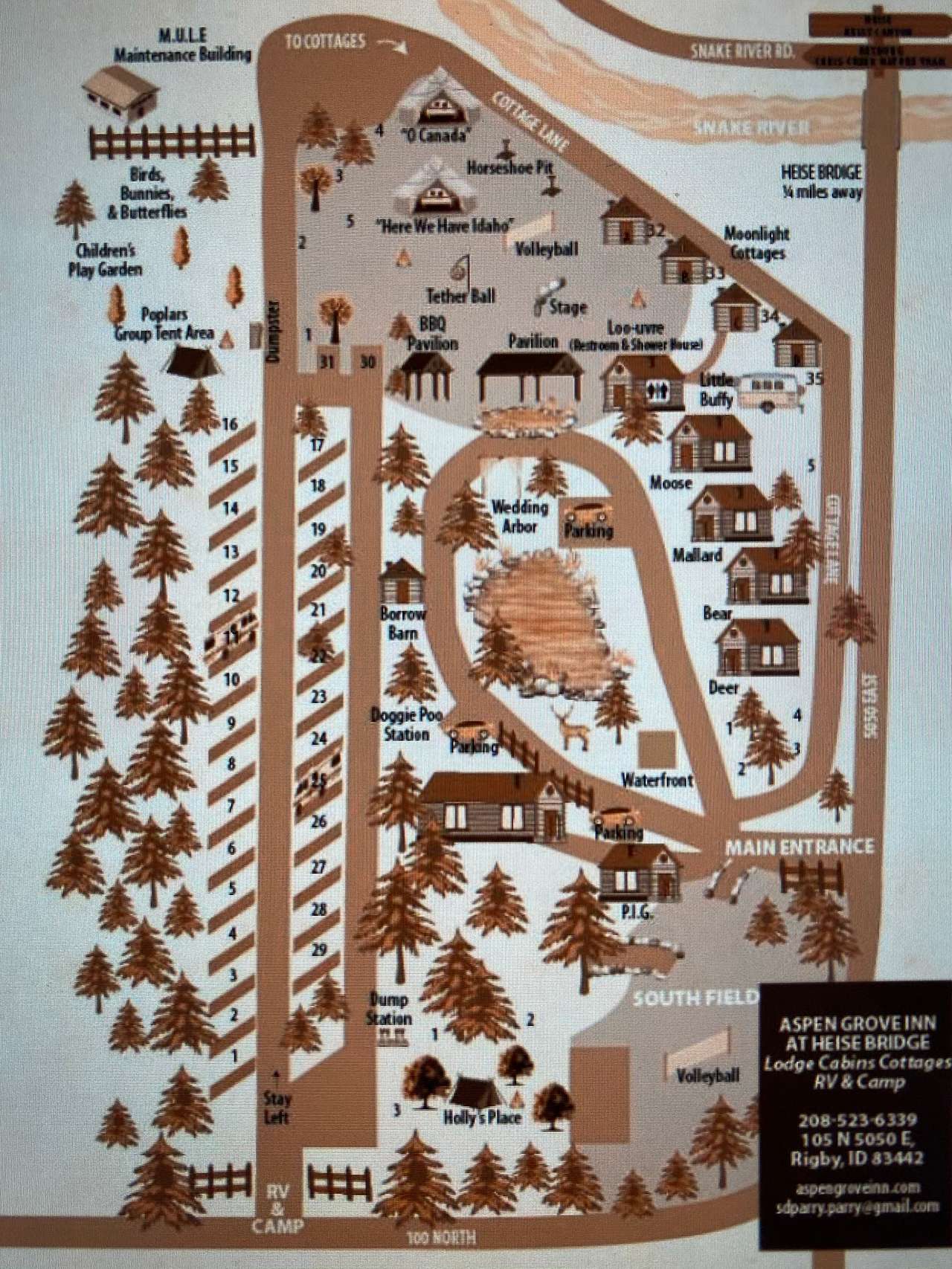 Picture of the site