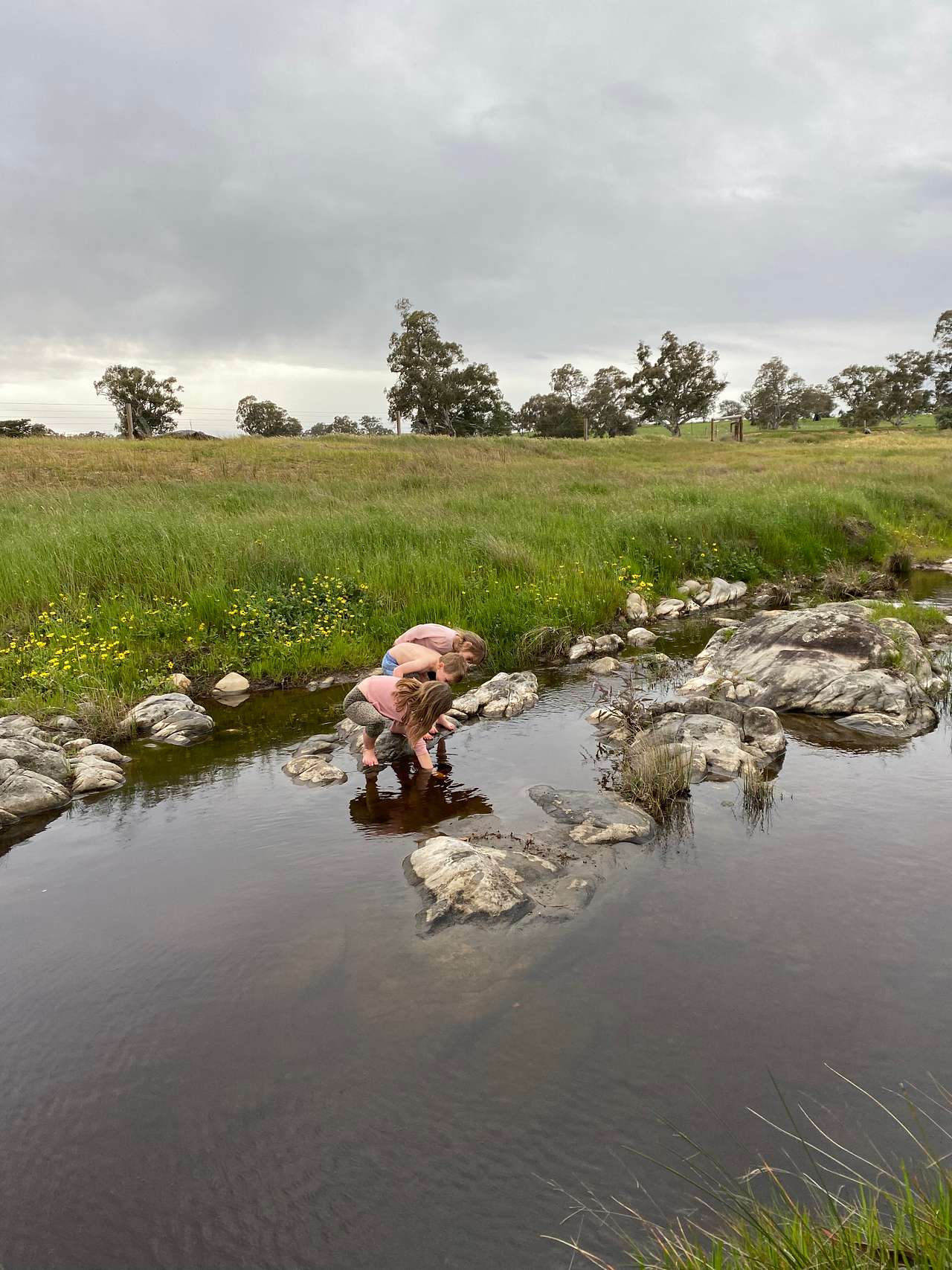 The Valley of Eden - Barossa