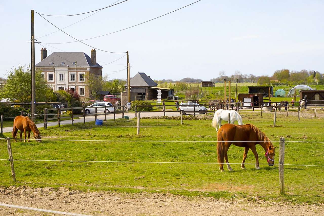 Annouv'Equid