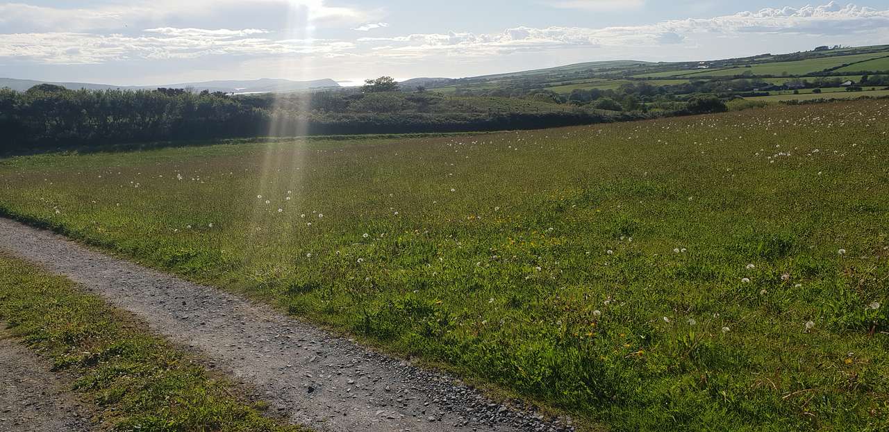 Sea views to Dinas head