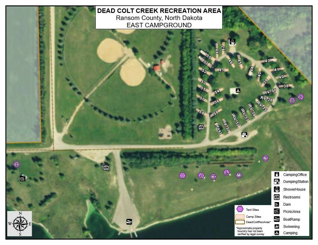 Picture of the site