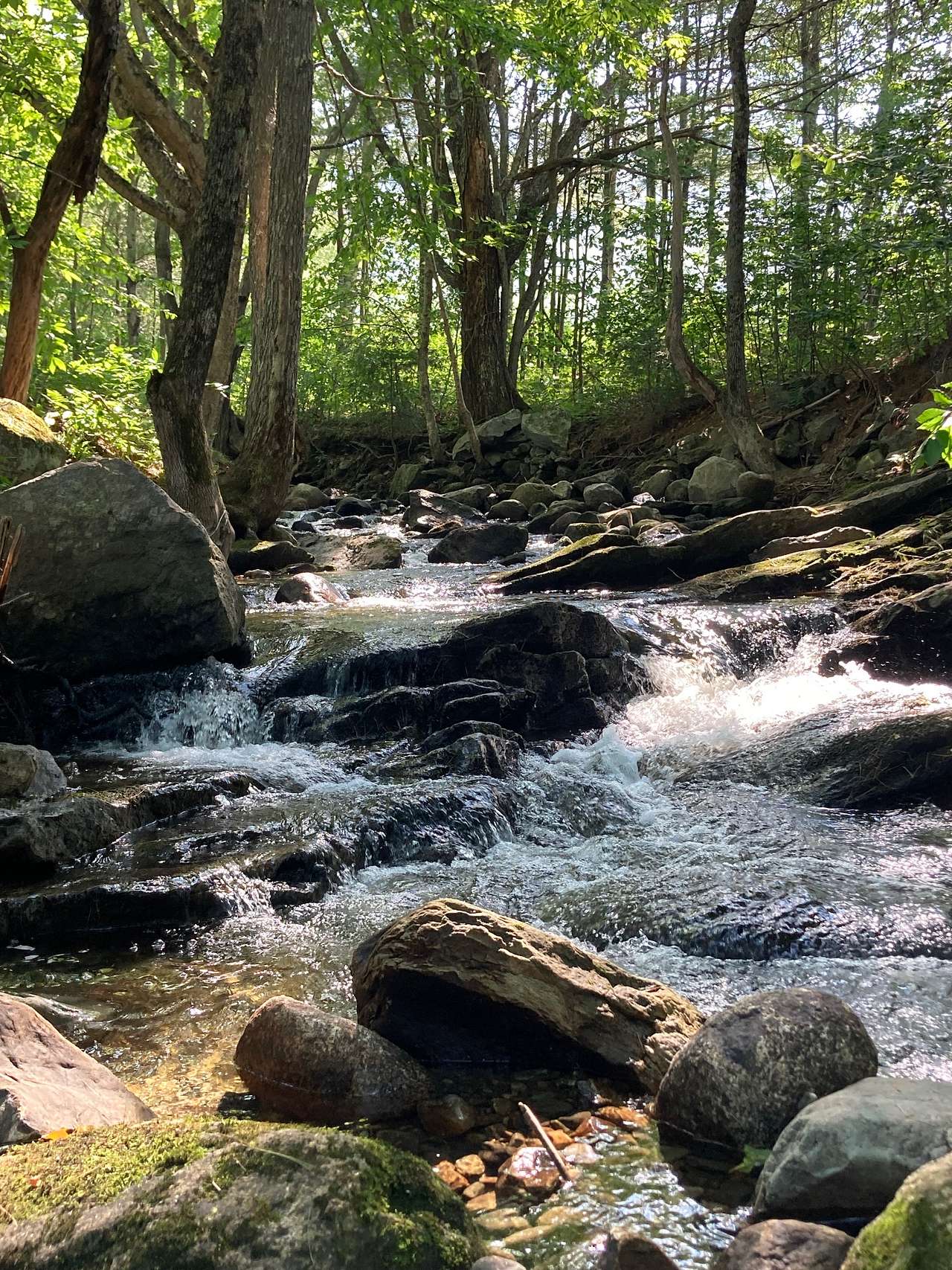 Camp Ebb and Flow