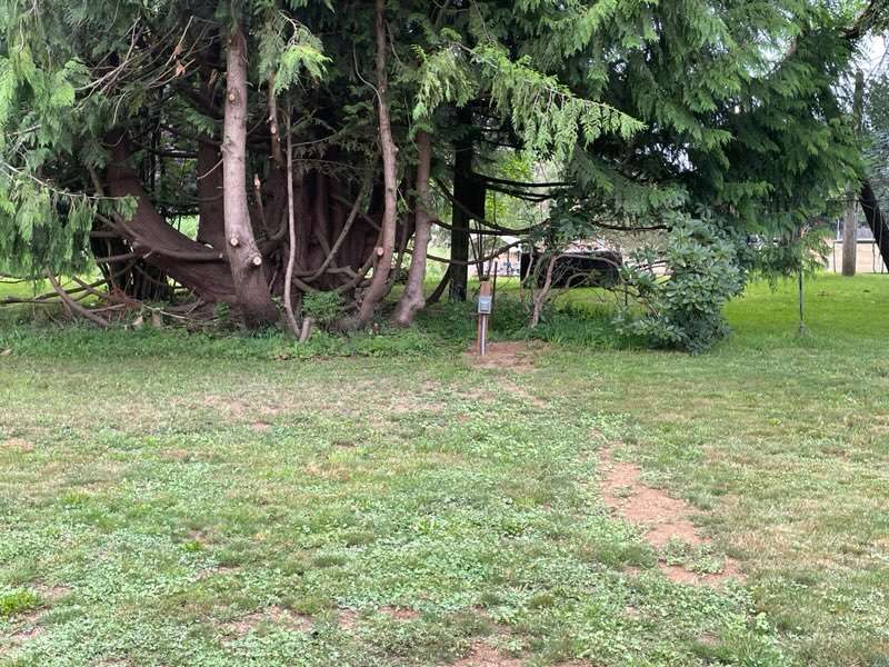 Site 5 has southern exposure and afternoon shade. Full hook-ups. Next to play area.