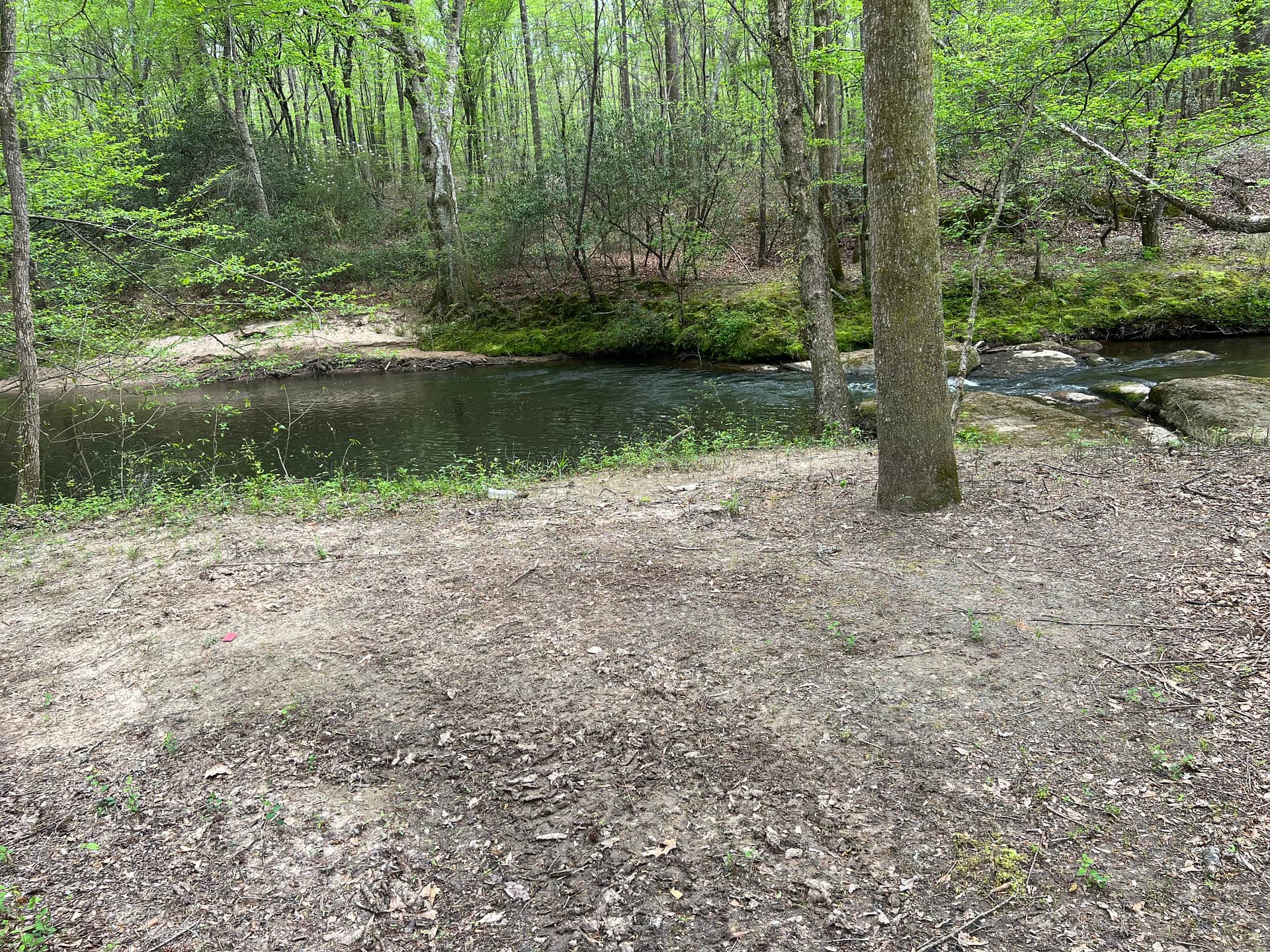 The swimming hole