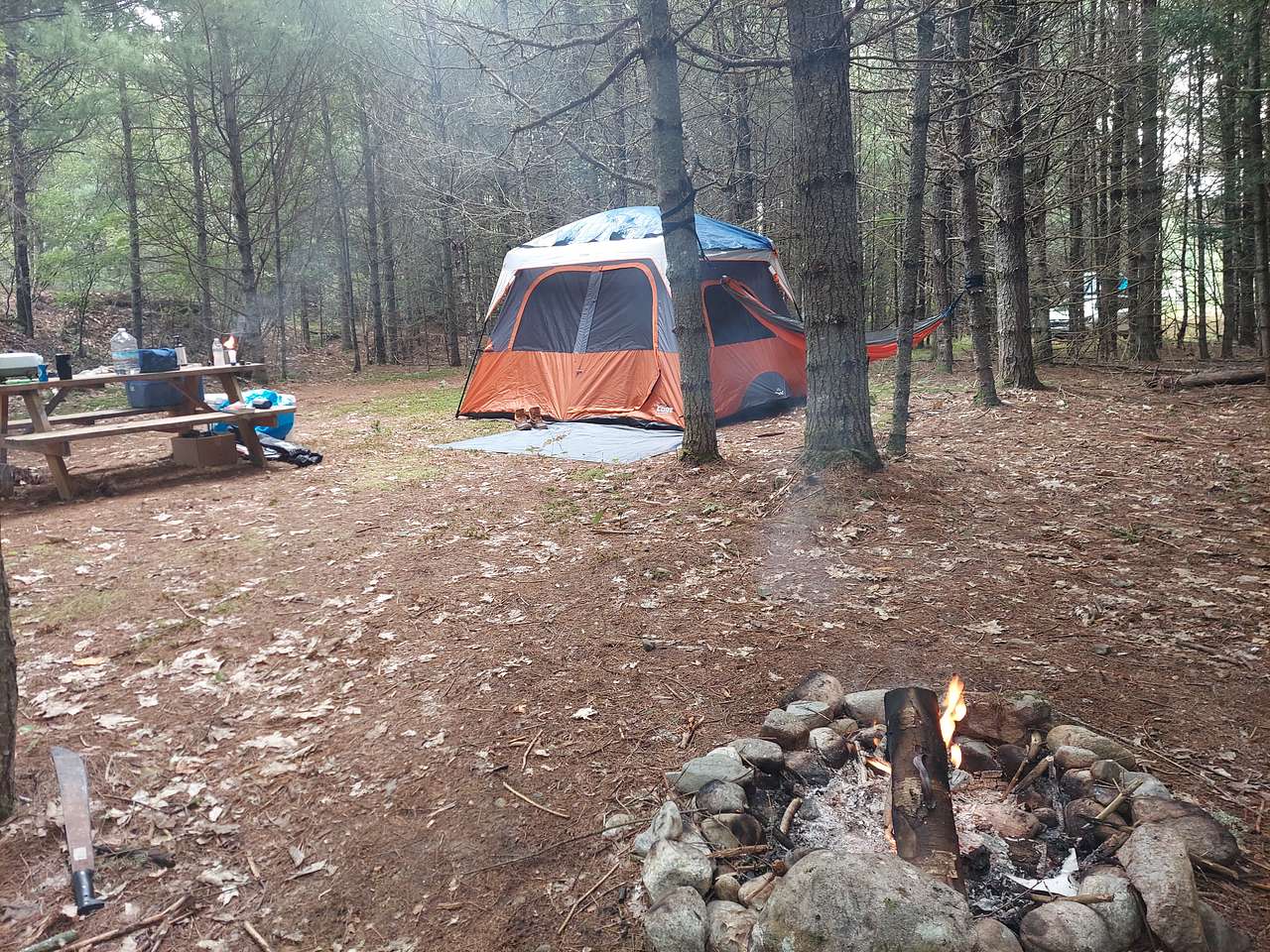 Watersrock Woods