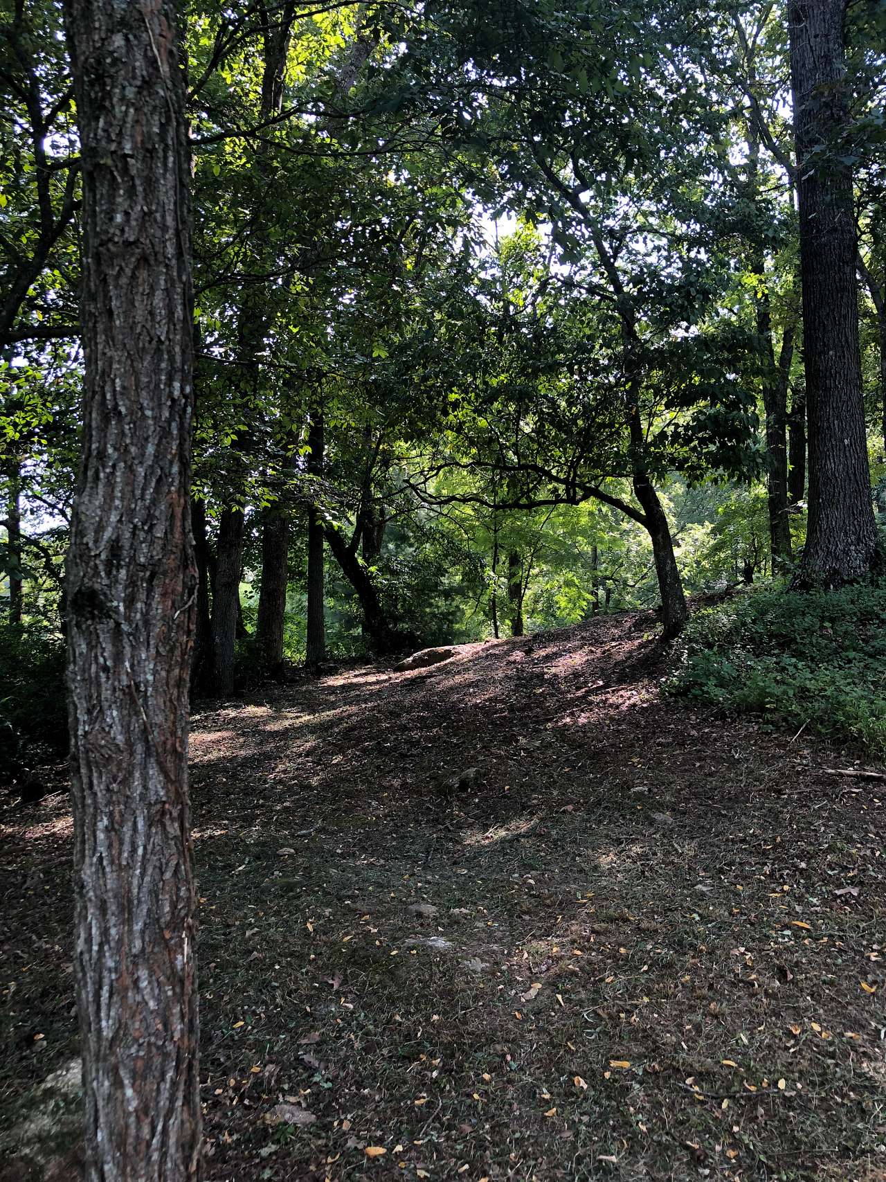 The walking trail 