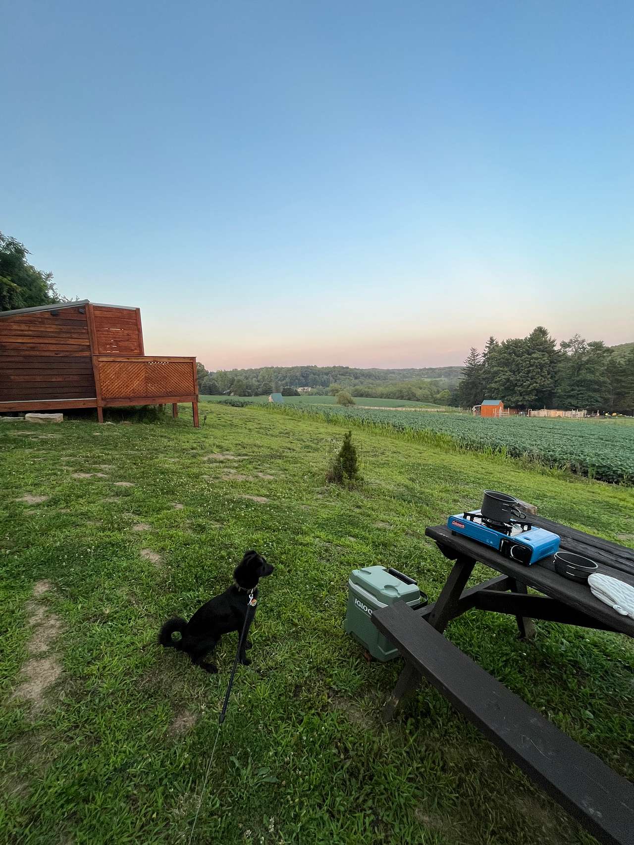 Nanny’s Rustic Retreat