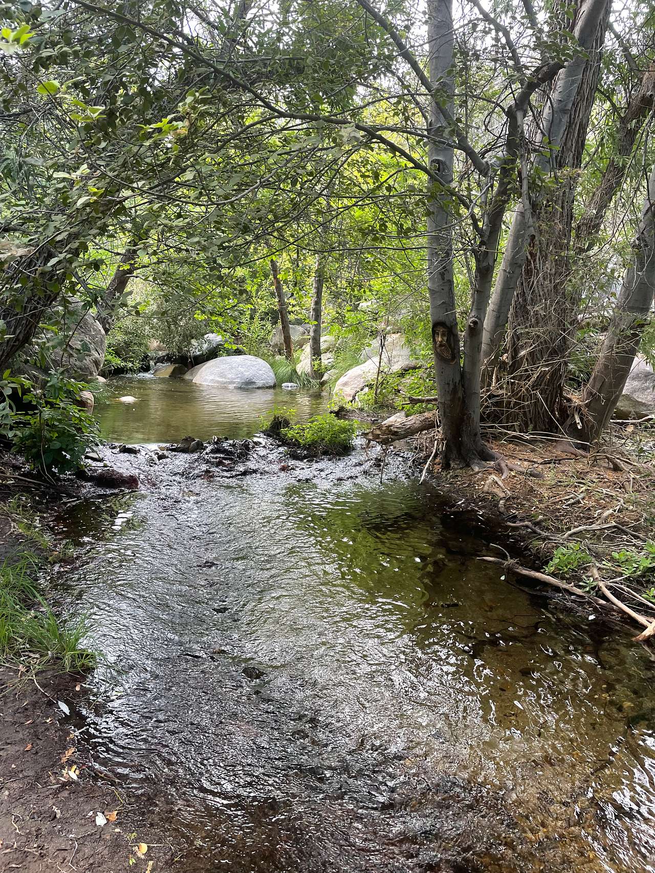 Shirley Creek Retreat