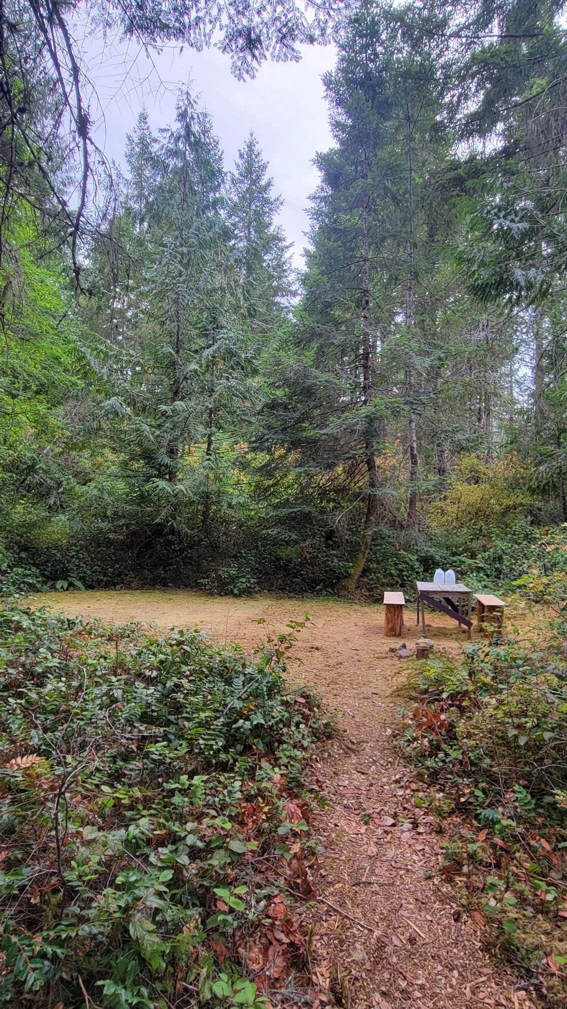 Campsite