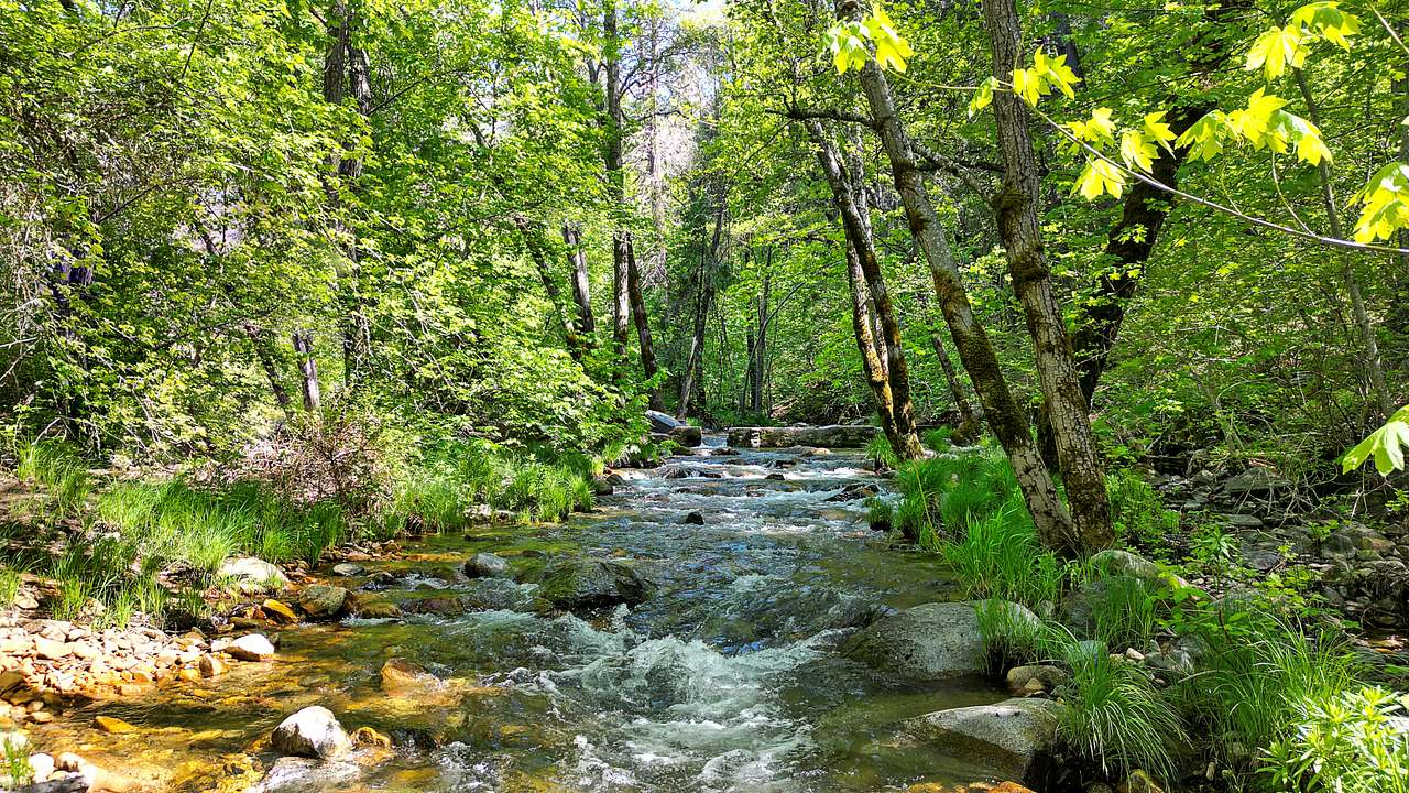River Ranch Campgrounds