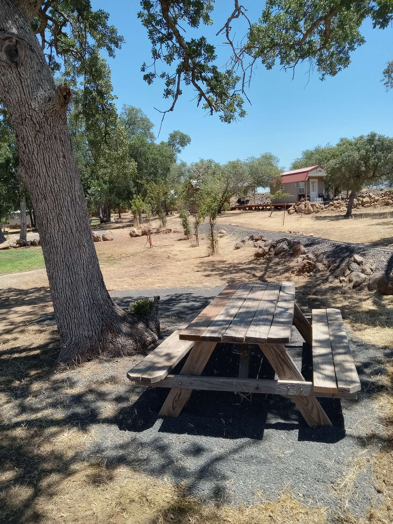 Gold Wall Ranch & Vineyard