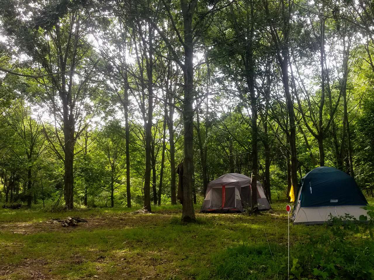 White Pine Farm HipCamping